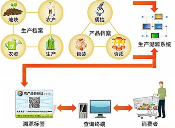 水稻種植可追溯系統(tǒng)有哪些環(huán)節(jié)及優(yōu)勢。