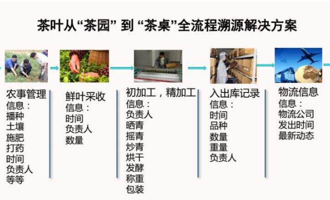 茶葉加工流程溯源系統(tǒng)解決方案